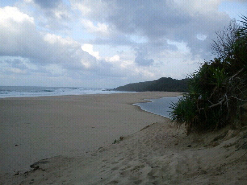 wara wiri
