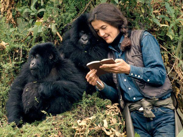 Dian Fossey - Orang Pertama Yang Di KIMPOI GORILLA [HOT On Google]