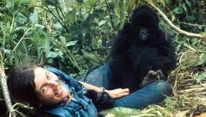 Dian Fossey - Orang Pertama Yang Di KIMPOI GORILLA [HOT On Google]