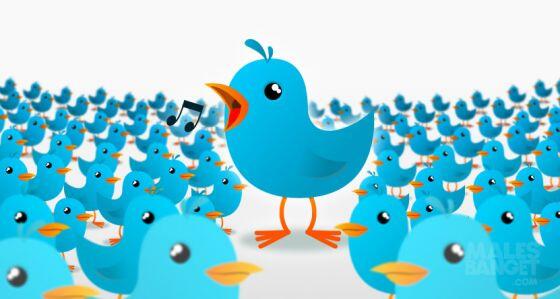 5 Alasan Kenapa Twitter Kamu DiFollow
