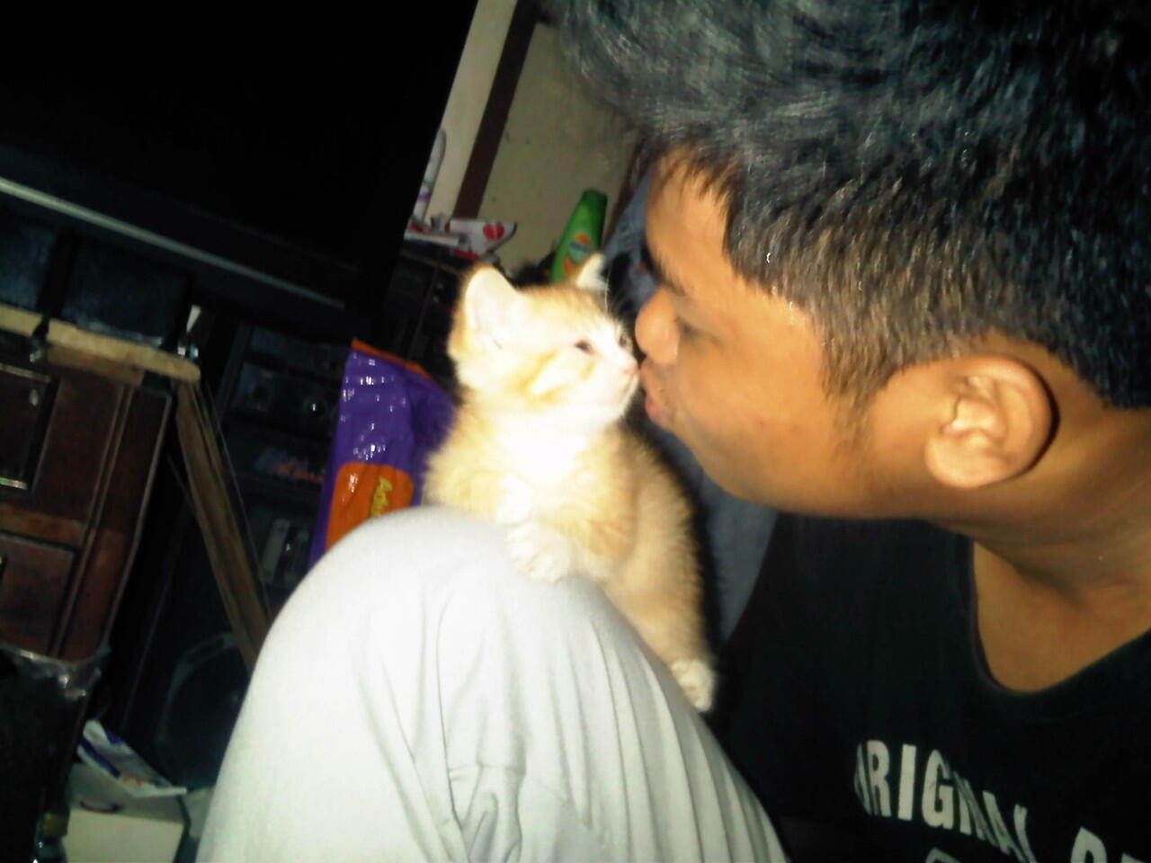 Cat Lover Masuk .. Send Picture Kucing Kalian disini..