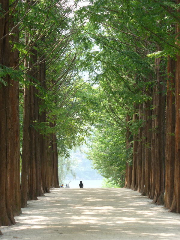 Keindahan Pulau Nami