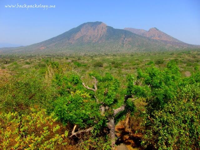 Alam Afrika di Taman Baluran Situbondo