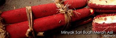 Sari Minyak Buah Merah 100% Asli Papua