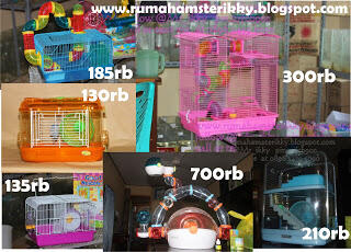 Accesorries Perlengkapan Hamster Lengkap harga dijamin murah