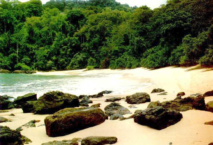 Teluk Hijau, eksotisme perawan ujung timur Pulau Jawa