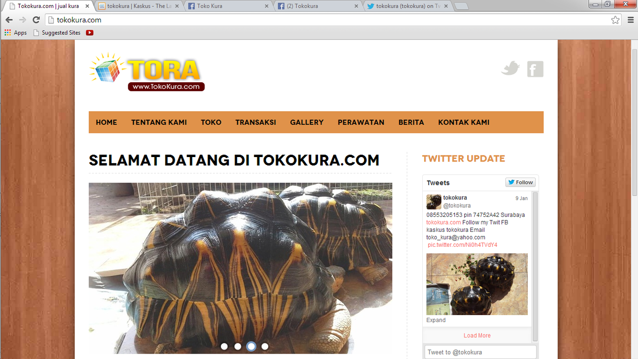 toko kura jual beli kura dengan harga yang sangat murah !!!