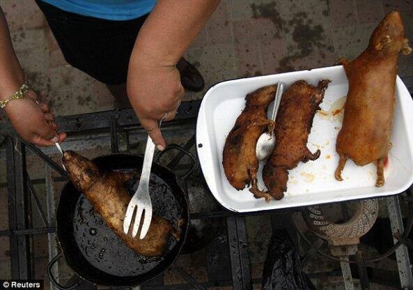 10 makanan aneh dan unik di dunia