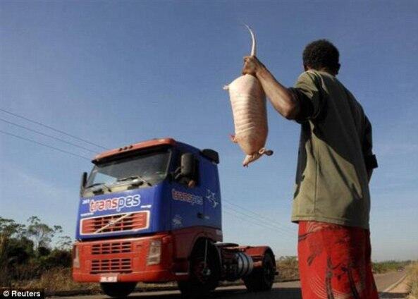 10 makanan aneh dan unik di dunia