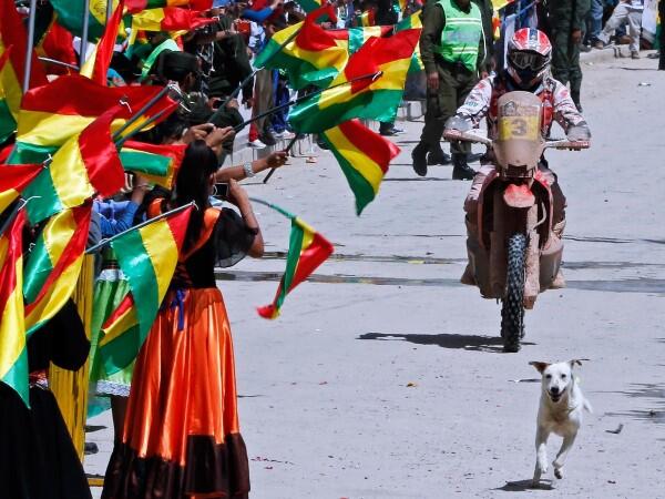 Pemandangan Spektakuler di Reli Dakar 2014