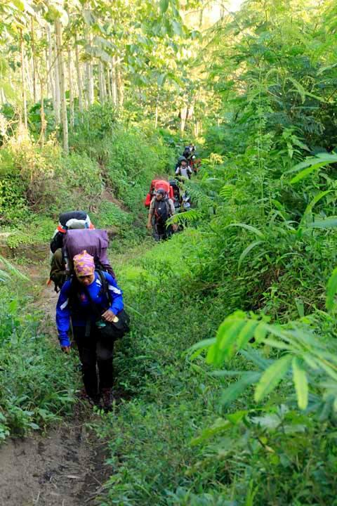 Merintis Jalur Coklak Puncak Selatan Gunung Raung