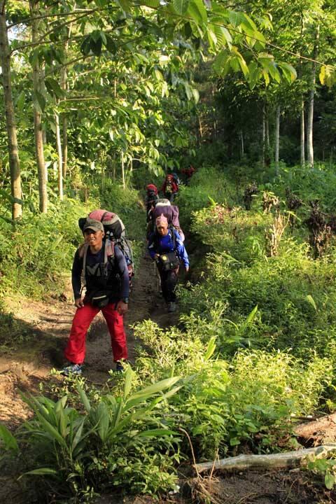 Merintis Jalur Coklak Puncak Selatan Gunung Raung