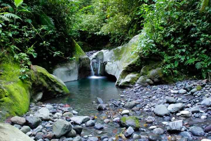 Merintis Jalur Coklak Puncak Selatan Gunung Raung