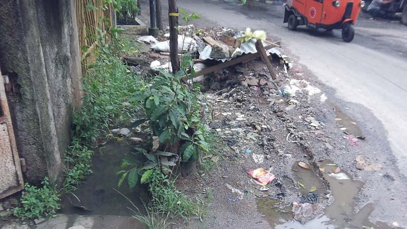 Trims Pak Jokowi, tapi ...