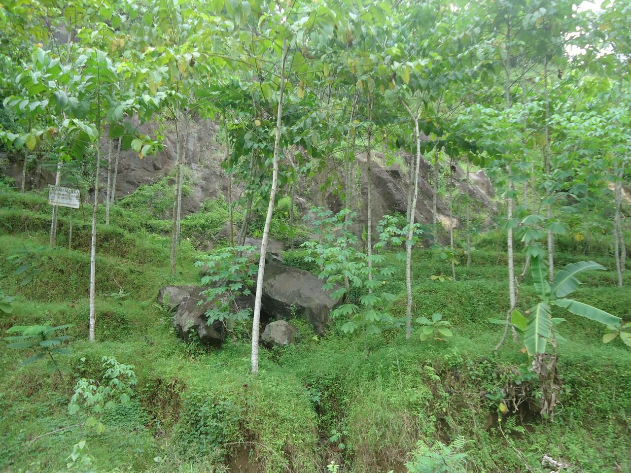 Karangsambung, Kebumen, Wisata Geologi terlengkap Se-Asia Tenggara.