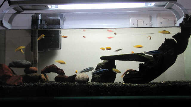 Filter Aquarium JEBO 502 Second Fungsi Normal 100%, Terawat + Refill Cartridge