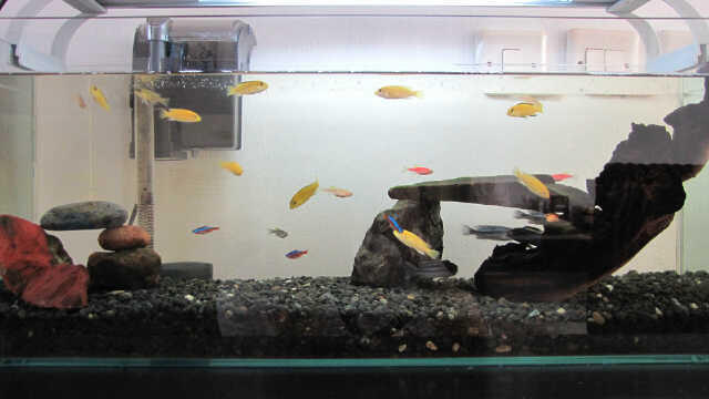 Filter Aquarium JEBO 502 Second Fungsi Normal 100%, Terawat + Refill Cartridge