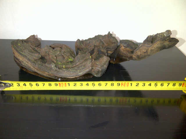 Kayu Aquascape/Aquarium 28-30 cm, Bentuk Unik Kondisi Terawat. . .