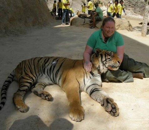 Mau ngelus2 harimau kesini aja gan.... ^_^