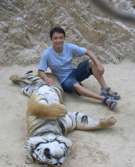 Mau ngelus2 harimau kesini aja gan.... ^_^