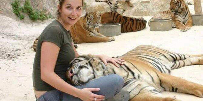Mau ngelus2 harimau kesini aja gan.... ^_^