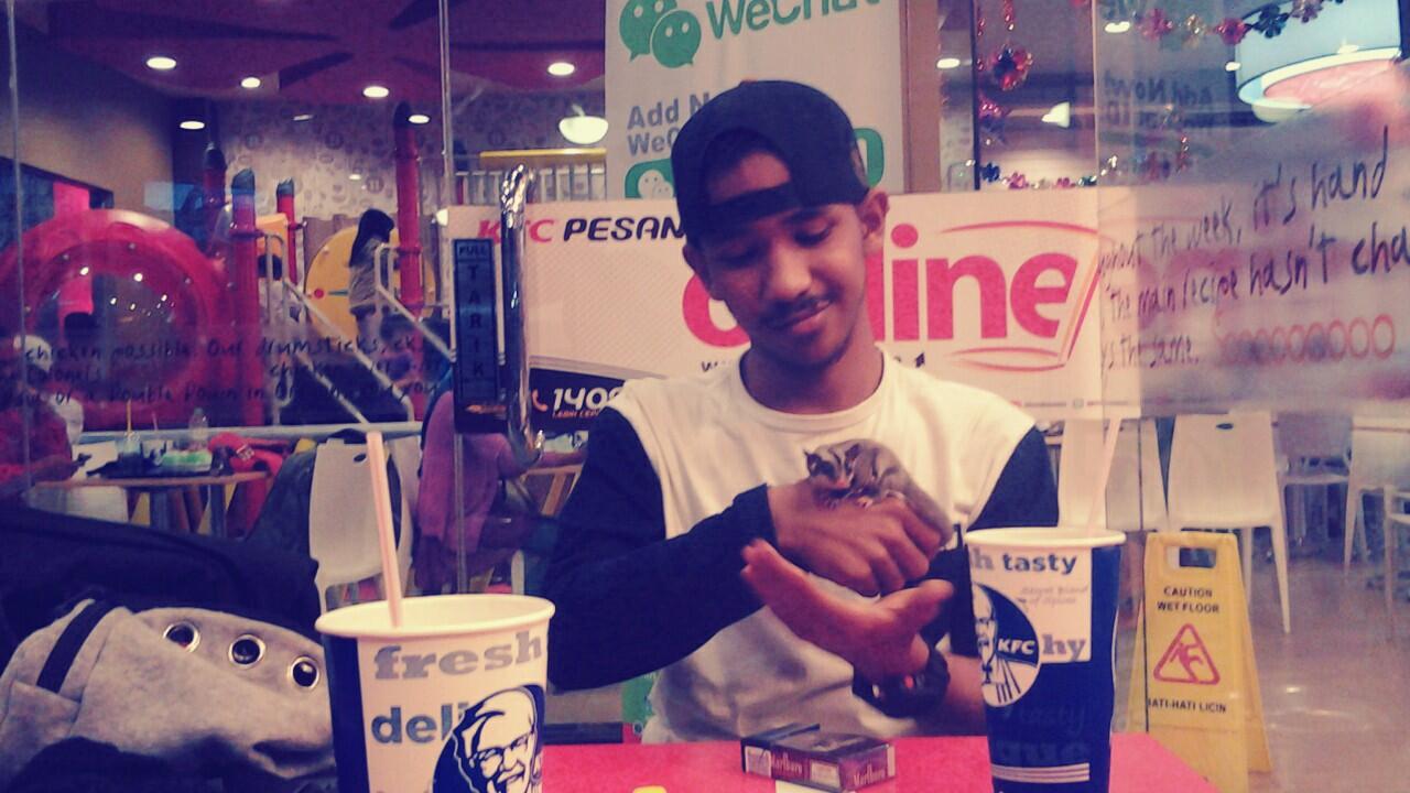 SUGAR GLIDER MURAH + KANDANG + POUCH + PLUS SEDANG HAMIL!!!!!!!!