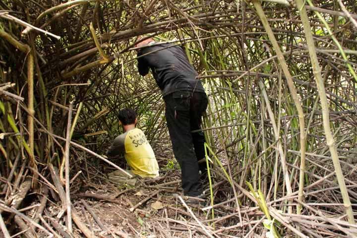 Merintis Jalur Coklak Puncak Selatan Gunung Raung