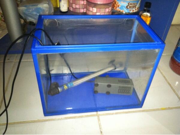Jual akuarium vosso parrot fish lengkap mulus