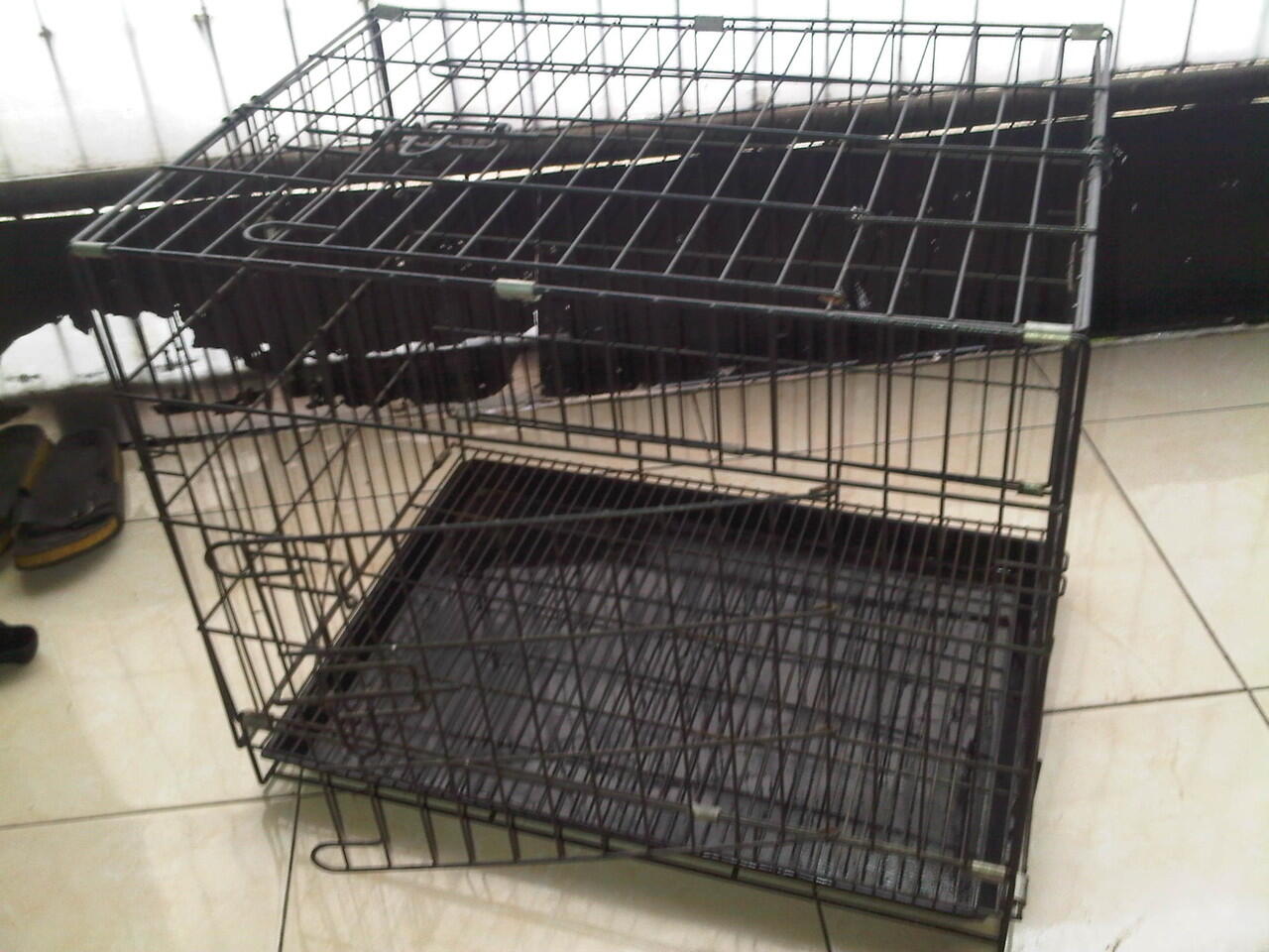 kandang kucing / kelinci / anjing dan sugar glider