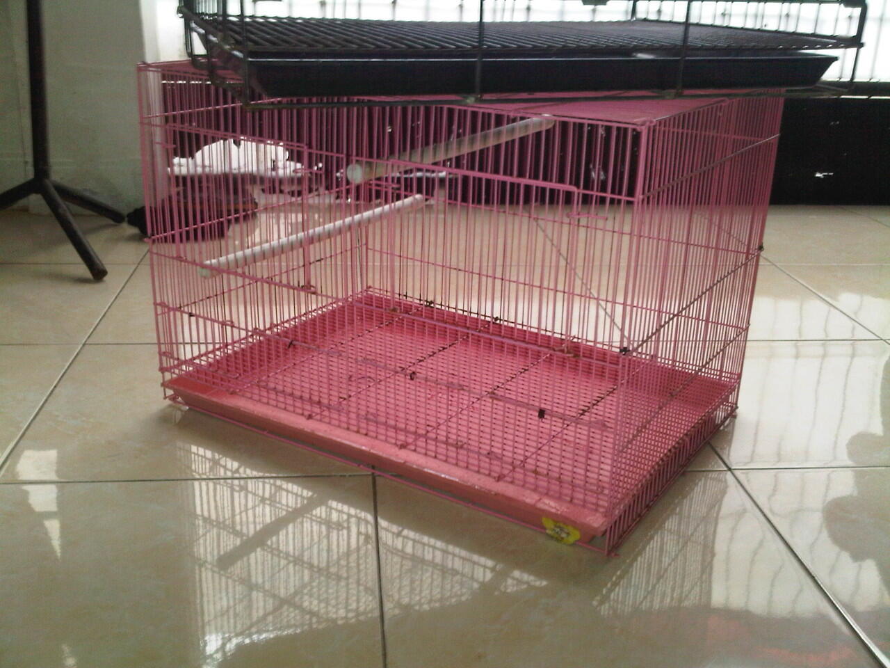 kandang kucing / kelinci / anjing dan sugar glider