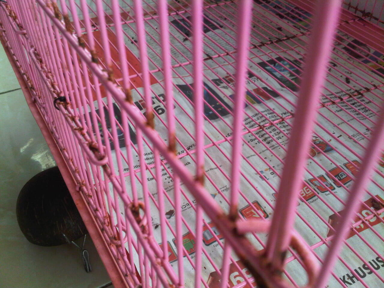 kandang kucing / kelinci / anjing dan sugar glider