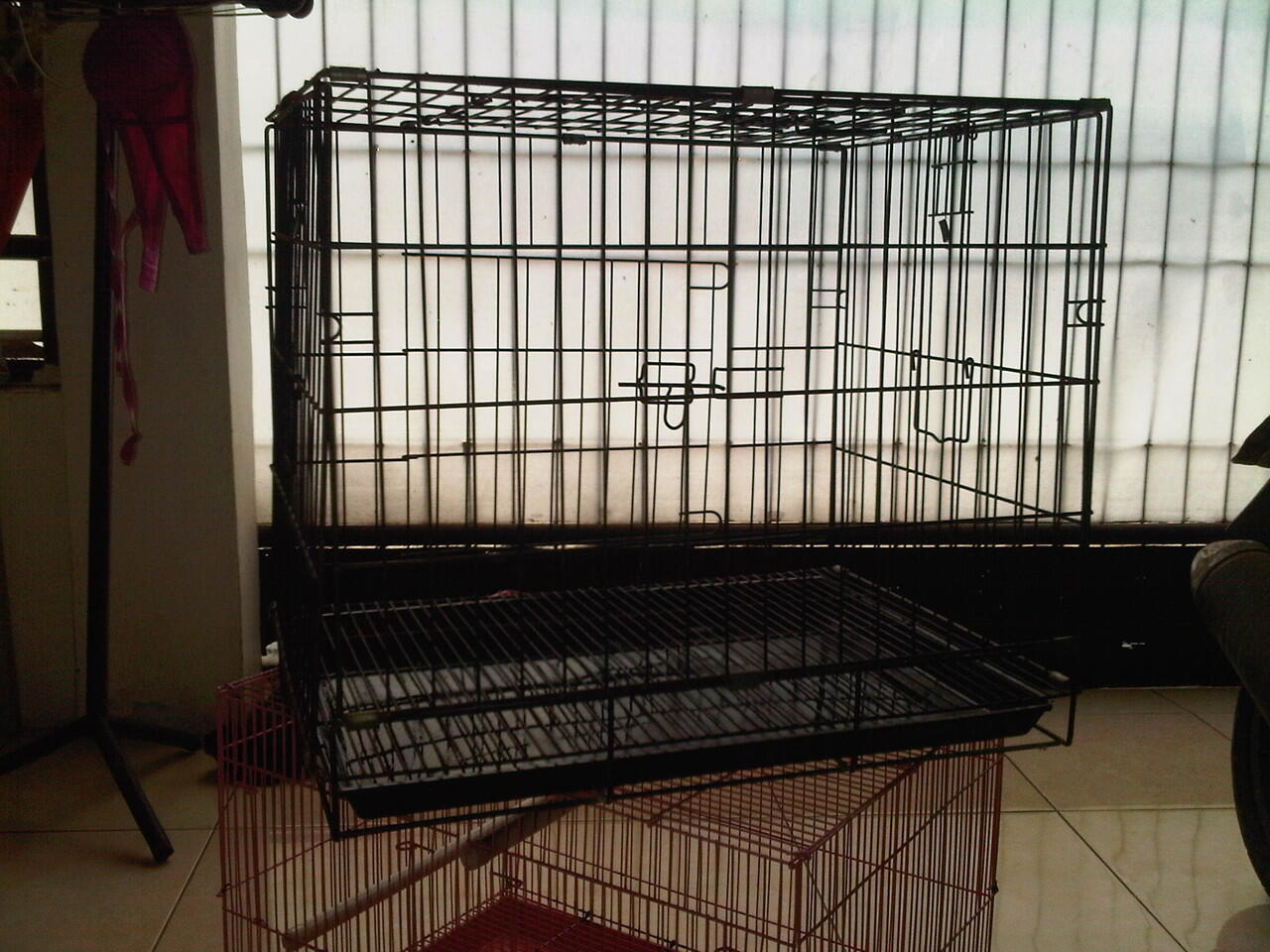 kandang kucing / kelinci / anjing dan sugar glider