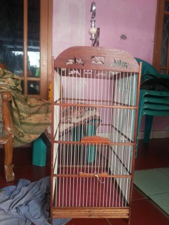 kandang / sangkar bisa untuk umbar, jeruji fiber mulussss