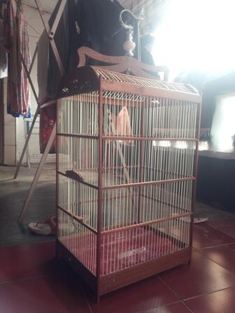 kandang / sangkar bisa untuk umbar, jeruji fiber mulussss