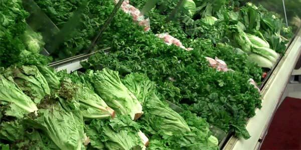 7 Makanan Sehat Dengan Harga Terjangkau