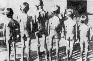 &#91;KONSPIRASI&#93; HOLOCAUST, FACT OR FICTION?