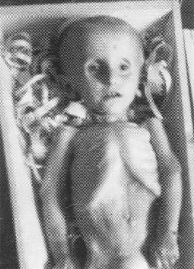 &#91;KONSPIRASI&#93; HOLOCAUST, FACT OR FICTION?