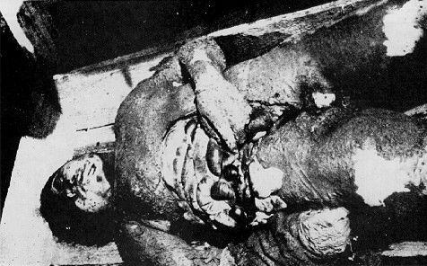&#91;KONSPIRASI&#93; HOLOCAUST, FACT OR FICTION?