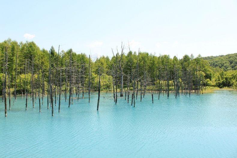 Blue Pond, Kolam terindah yang bisa berubah Warnanya