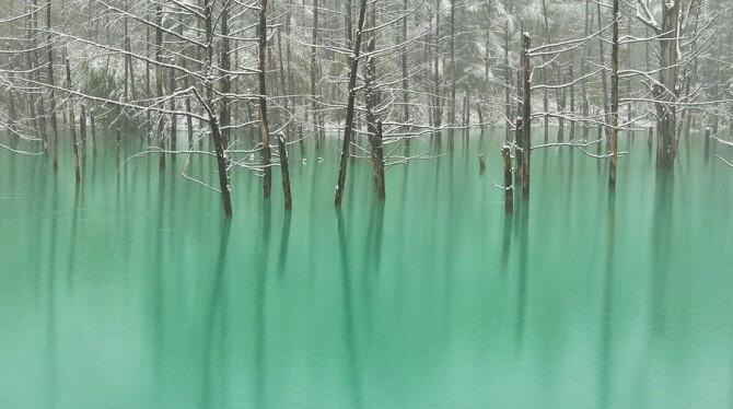 Blue Pond, Kolam terindah yang bisa berubah Warnanya