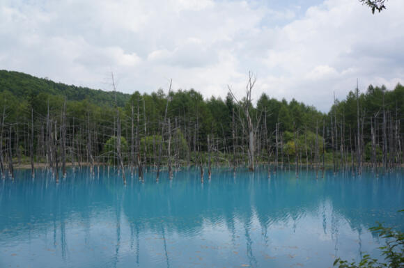 Blue Pond, Kolam terindah yang bisa berubah Warnanya