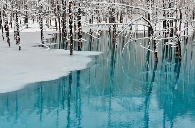 Blue Pond, Kolam terindah yang bisa berubah Warnanya