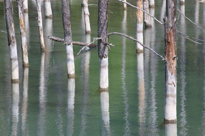 Blue Pond, Kolam terindah yang bisa berubah Warnanya