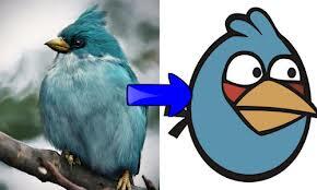 Foto Burung Angry Birds Di Dunia Nyata