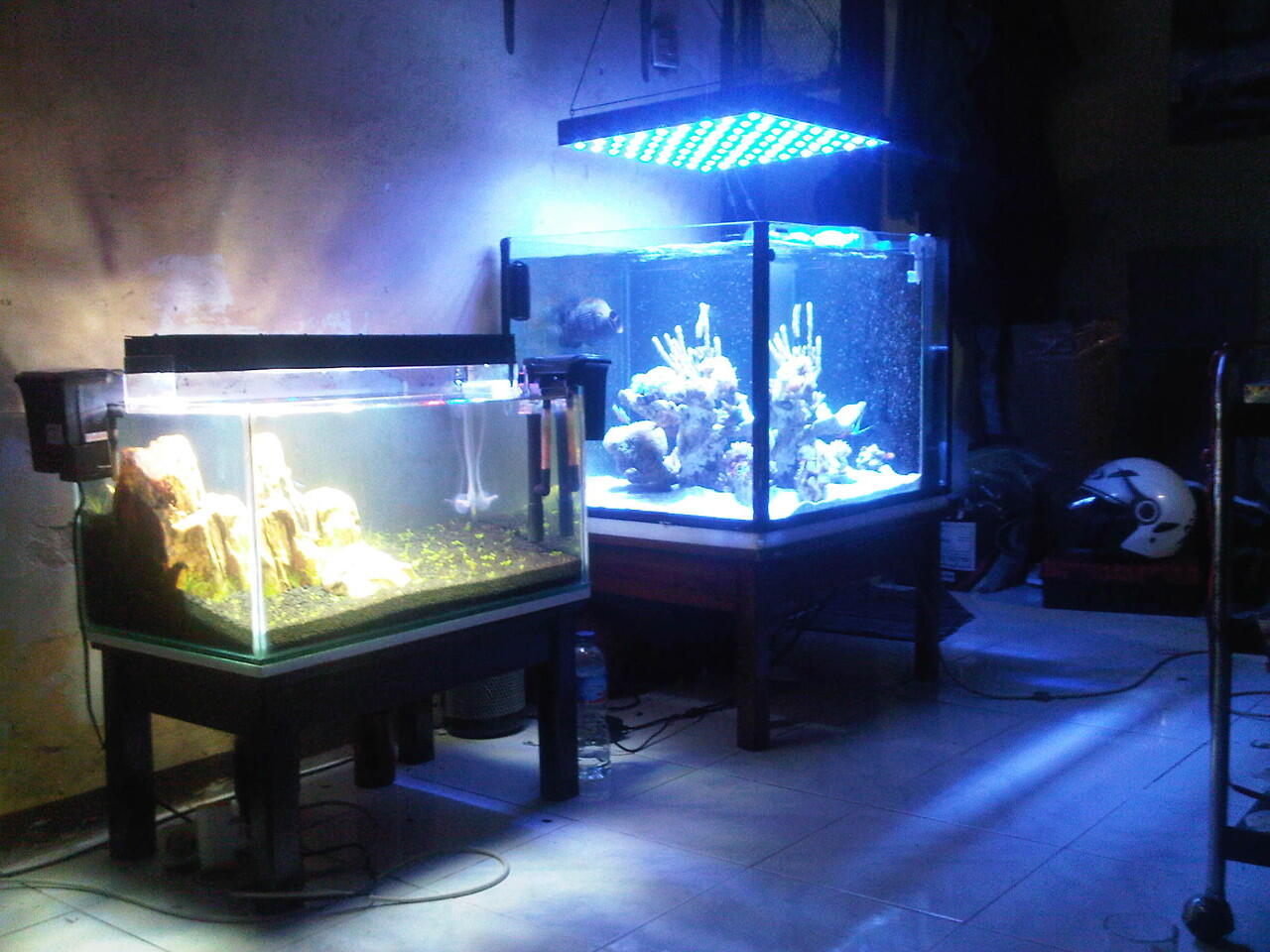 Jual Lampu LED akuarium laut/aquascape custom bandung  KASKUS