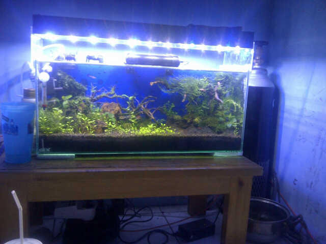 Terjual Lampu LED akuarium laut/aquascape custom bandung 