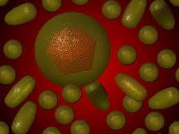 6 Virus Paling Mematikan Bagi Manusia