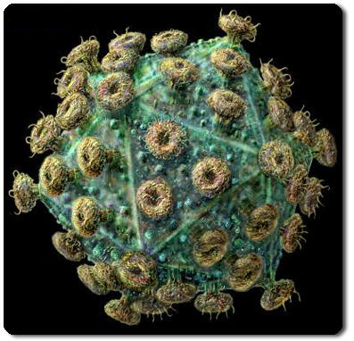 6 Virus Paling Mematikan Bagi Manusia