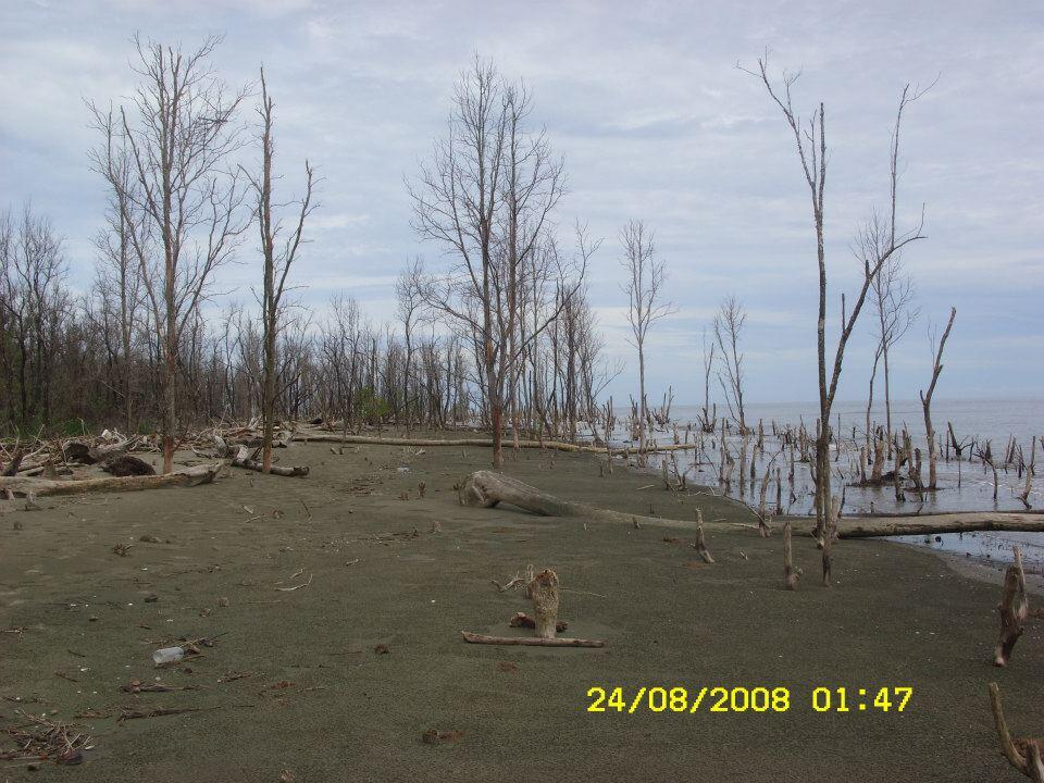 Ayo Jalan-Jalan Dan Berwisata Ke Pulau Bunyu