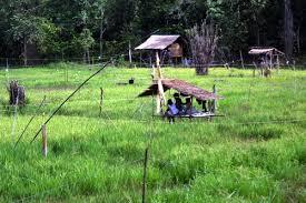 Ayo Jalan-Jalan Dan Berwisata Ke Pulau Bunyu